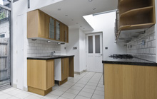 Harrow Green kitchen extension leads